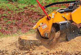 Best Emergency Tree Removal  in , AL