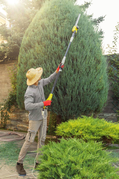 Best Commercial Tree Services  in , AL